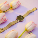 Daniel Wellington Petite Emerald Green Dial Gold Mesh Strap Watch For Women - DW00100480