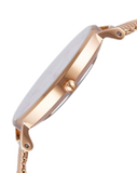 Daniel Wellington Classic Petite White Dial Rose Gold Mesh Bracelet Watch For Women - DW00100219